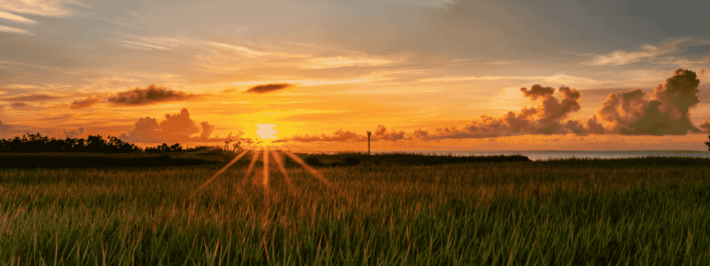 Sun setting over a quiet green field, a reminder that planning ahead brings peace of mind
