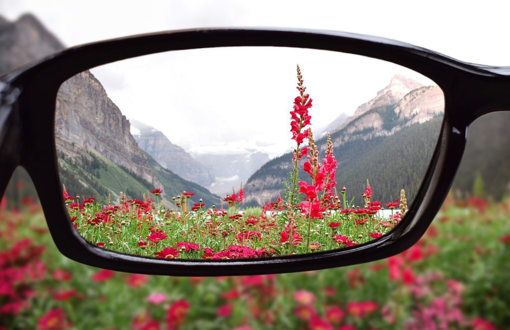 Eyeglasses bringing a mountain meadow into focus, a reminder to keep long-term perspective in volatile markets